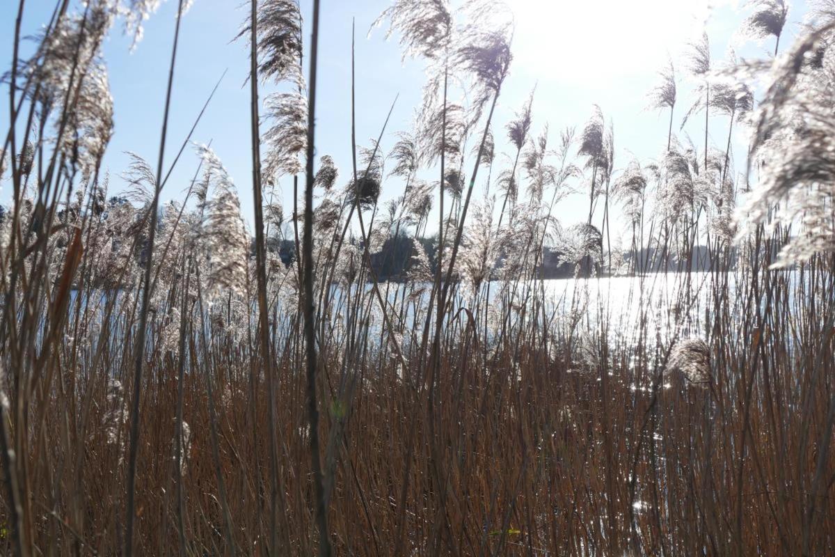 Landhaus Am See App. 2 Ponitz am See Luaran gambar